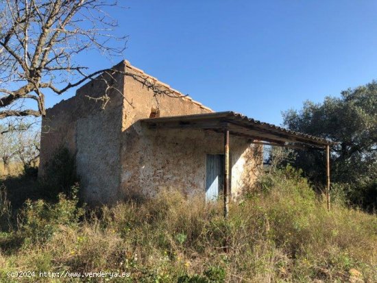 Finca en venta en El Perelló (Tarragona)