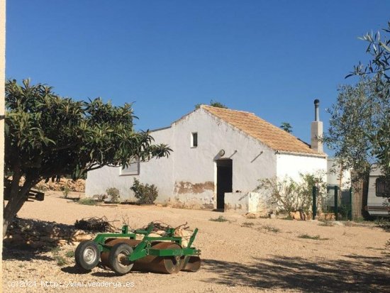 Finca en venta en Masdenverge (Tarragona)