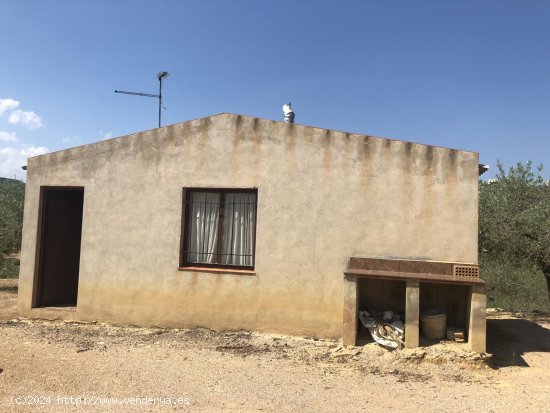 Finca en venta en El Perelló (Tarragona)