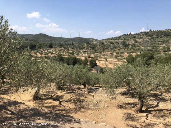 Finca en venta en El Perelló (Tarragona)