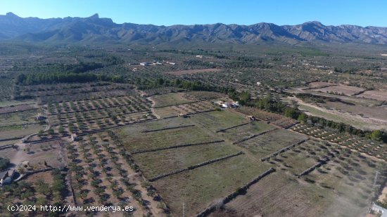 Finca en venta en El Perelló (Tarragona)