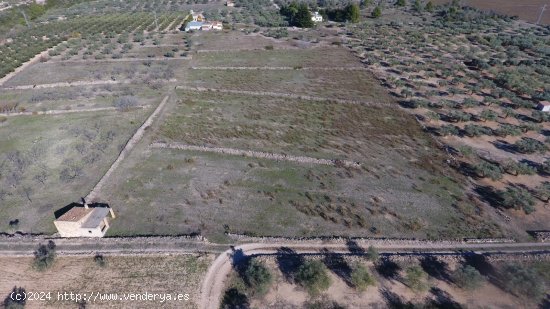 Finca en venta en El Perelló (Tarragona)