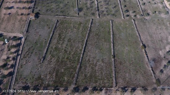 Finca en venta en El Perelló (Tarragona)