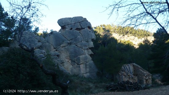 Finca en venta en Fuentespalda (Teruel)