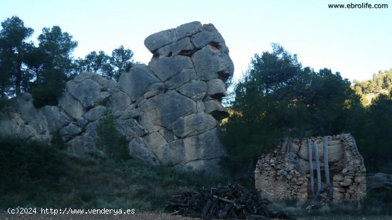 Finca en venta en Fuentespalda (Teruel)