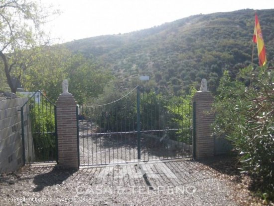 Finca en venta en Canillas de Albaida (Málaga)