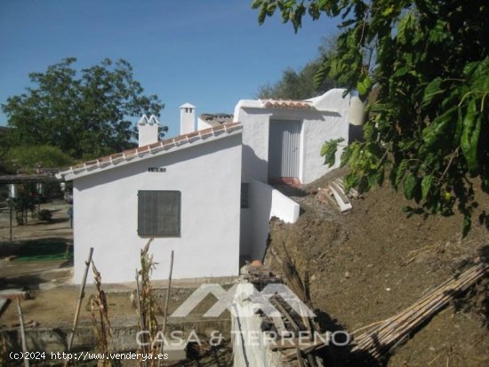 Finca en venta en Canillas de Albaida (Málaga)