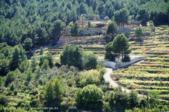 Parcela para invertir en Callosa d En Sarrià (Alicante)