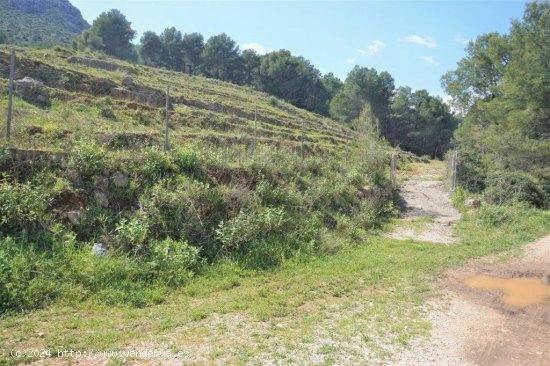 Parcela para invertir en Callosa d En Sarrià (Alicante)