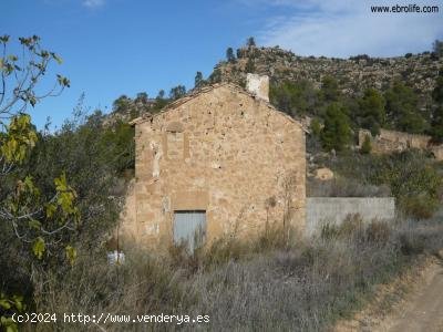 Finca en venta en Maella (Zaragoza)