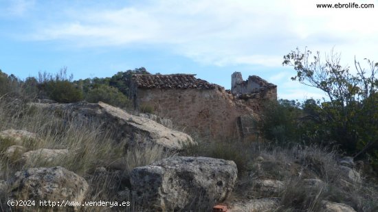 Finca en venta en Maella (Zaragoza)