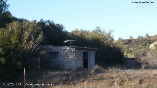 Finca en venta en Nonaspe (Zaragoza)