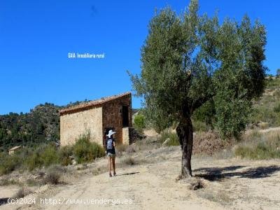 Finca en venta en Maella (Zaragoza)