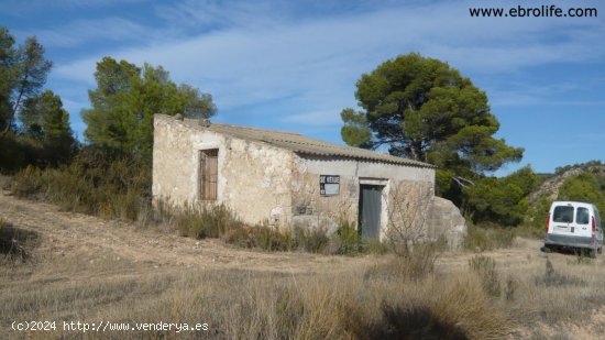 Finca en venta en Nonaspe (Zaragoza)