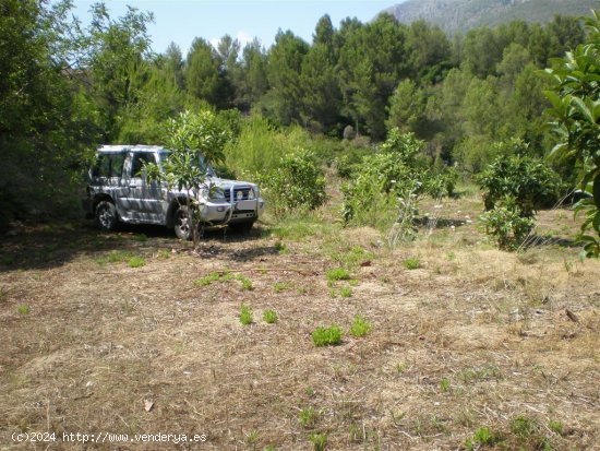 Parcela para invertir en Callosa d En Sarrià (Alicante)