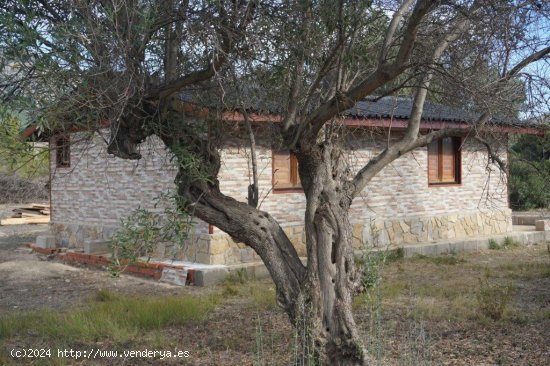 Parcela para invertir en Callosa d En Sarrià (Alicante)