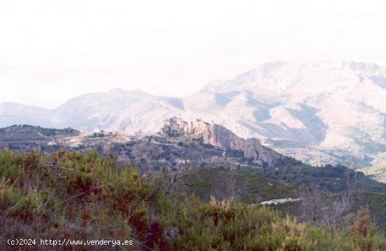 Parcela para invertir en Callosa d En Sarrià (Alicante)