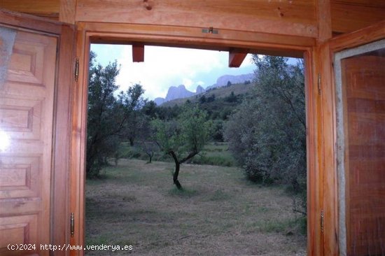 Parcela para invertir en Callosa d En Sarrià (Alicante)