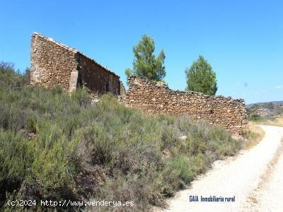 Finca en venta en Maella (Zaragoza)