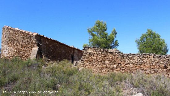 Finca en venta en Maella (Zaragoza)