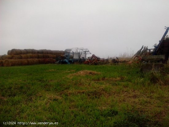 Finca en venta en Barreiros (Lugo)