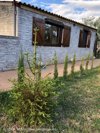 Finca en venta en Fabara (Zaragoza)