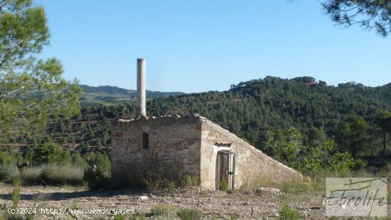 Finca en venta en Bot (Tarragona)