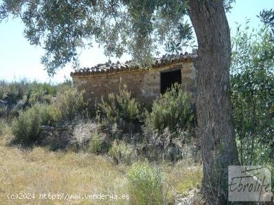 Finca en venta en Maella (Zaragoza)