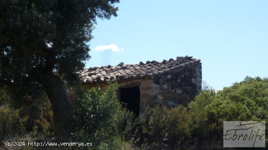 Finca en venta en Maella (Zaragoza)