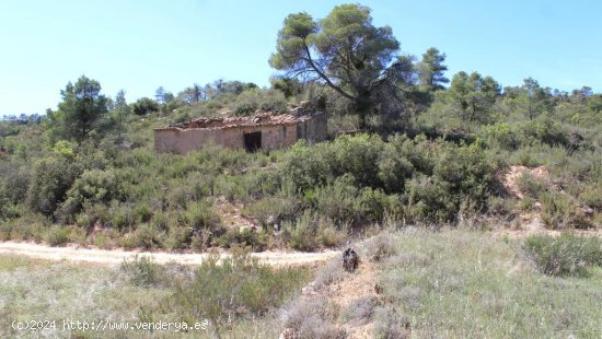 Finca en venta en Batea (Tarragona)