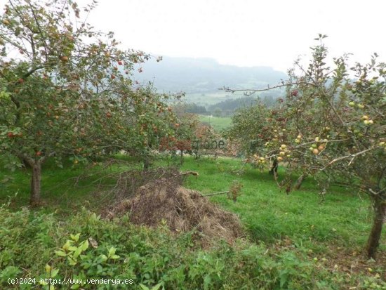 Parcela en venta en Villaviciosa (Asturias)