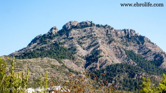 Finca en venta en Horta de Sant Joan (Tarragona)