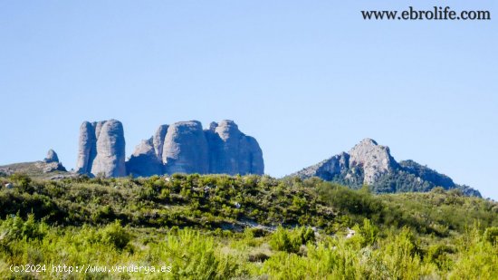 Finca en venta en Horta de Sant Joan (Tarragona)