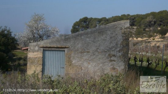 Finca en venta en Batea (Tarragona)