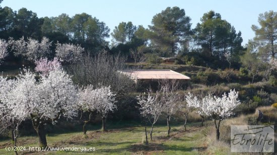 Finca en venta en Caseres (Tarragona)