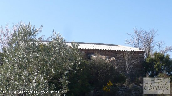 Finca en venta en Batea (Tarragona)