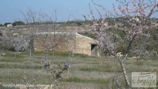 Finca en venta en Batea (Tarragona)