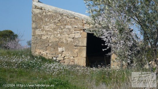 Finca en venta en Batea (Tarragona)