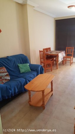 Apartamento en venta en Torrevieja (Alicante)