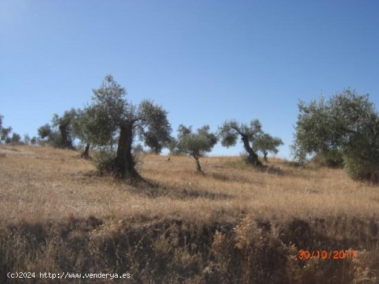 Finca en venta en Montemolín (Badajoz)