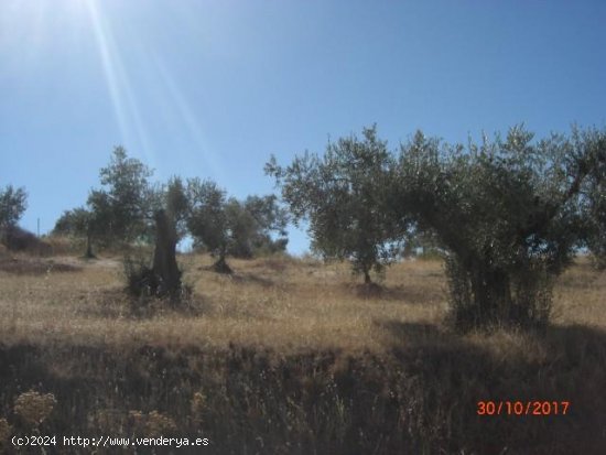 Finca en venta en Montemolín (Badajoz)