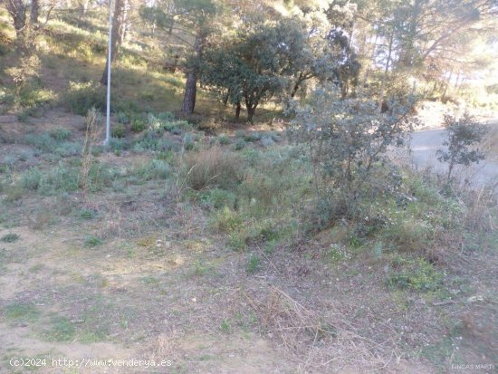  Finca en venta en Riudecanyes (Tarragona) 