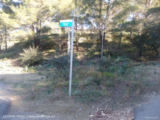 Finca en venta en Riudecanyes (Tarragona)