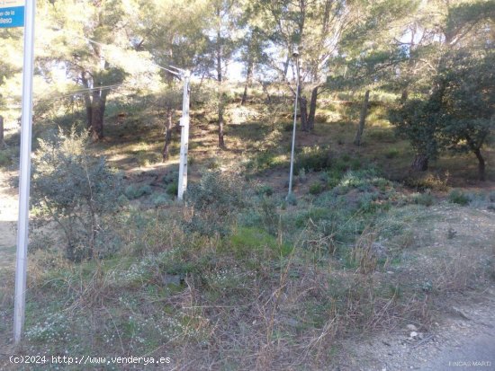 Finca en venta en Riudecanyes (Tarragona)