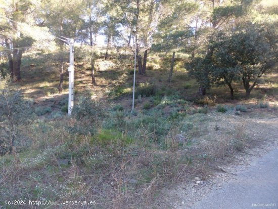 Finca en venta en Riudecanyes (Tarragona)