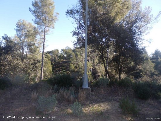 Finca en venta en Riudecanyes (Tarragona)