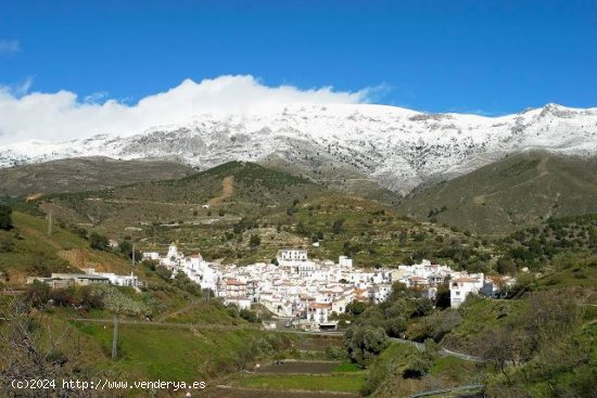 Parcela para invertir en Sedella (Málaga)