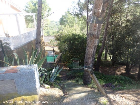 Parcela en venta en Riudecanyes (Tarragona)