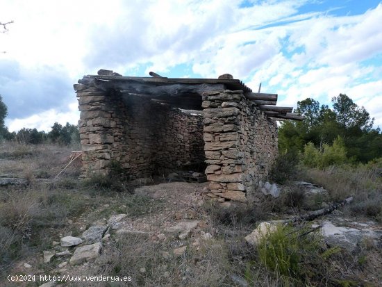 Finca en venta en Valjunquera (Teruel)