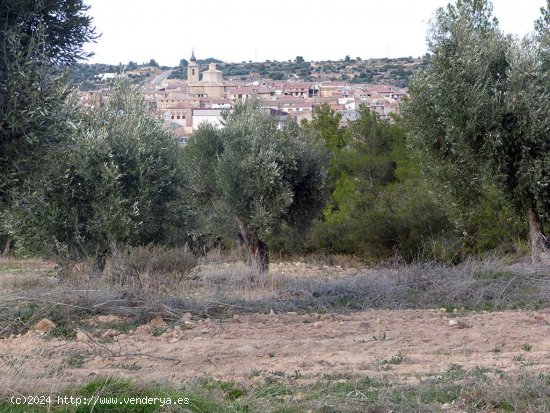 Finca en venta en Valjunquera (Teruel)